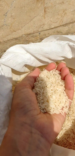 ۵ کیلو برنج طارم هاشمی